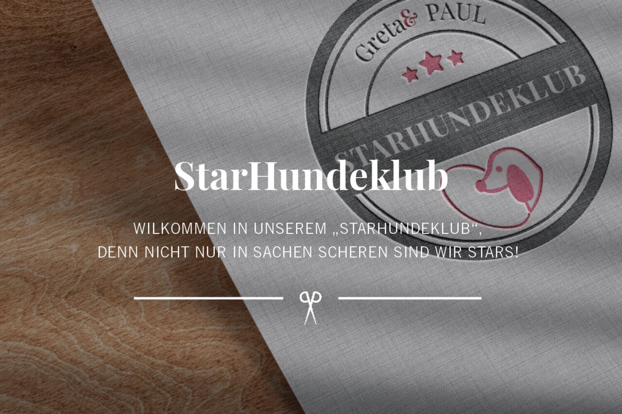 Blog_StarHundeklub_Vorschau-HeaderG7FhhgU82Qwjp