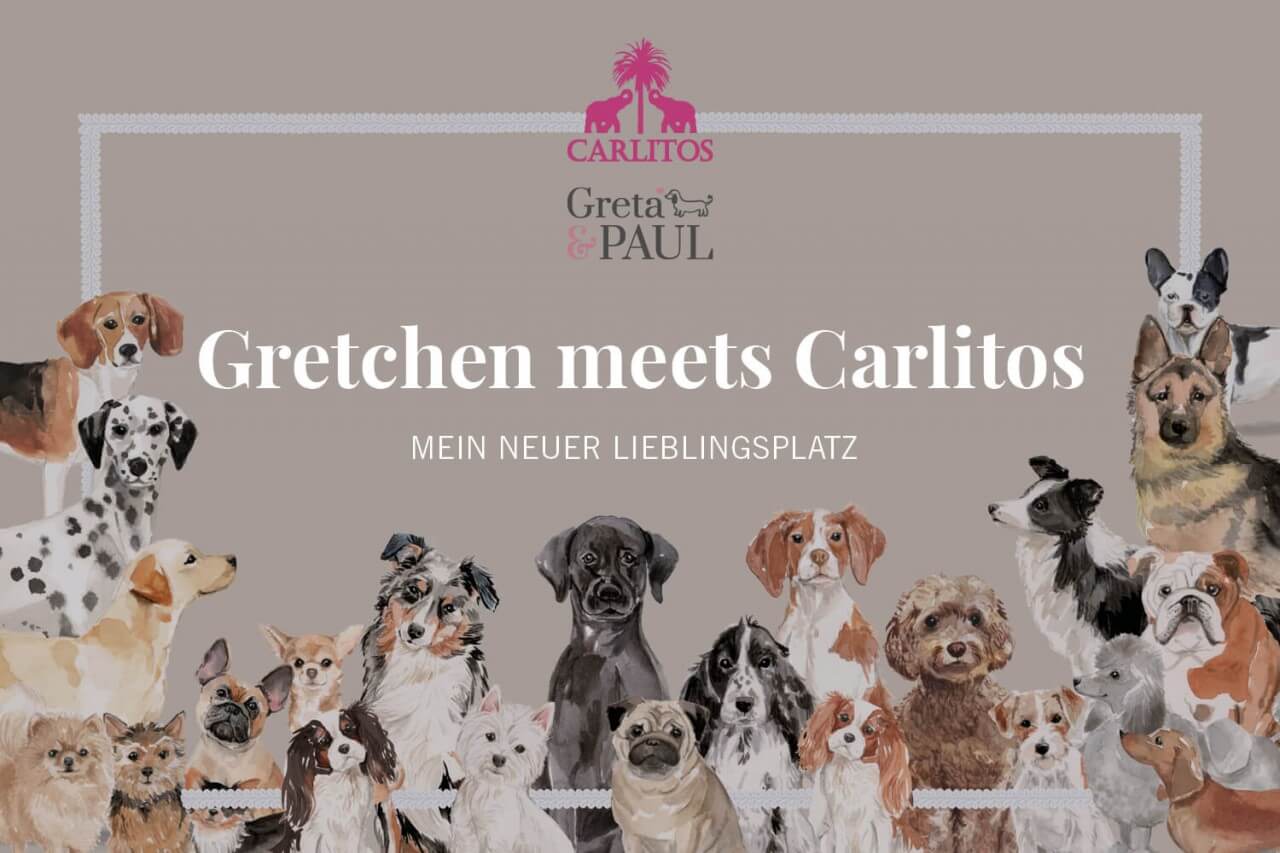 Gretchen-meets-CARLITOSbdq7ya5L0b4tX